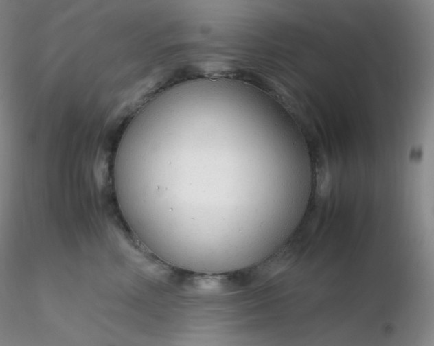 X0000116310618200912211924