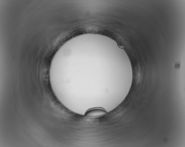 X0000116310619200912211924