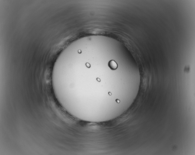 X0000116310620200912211924