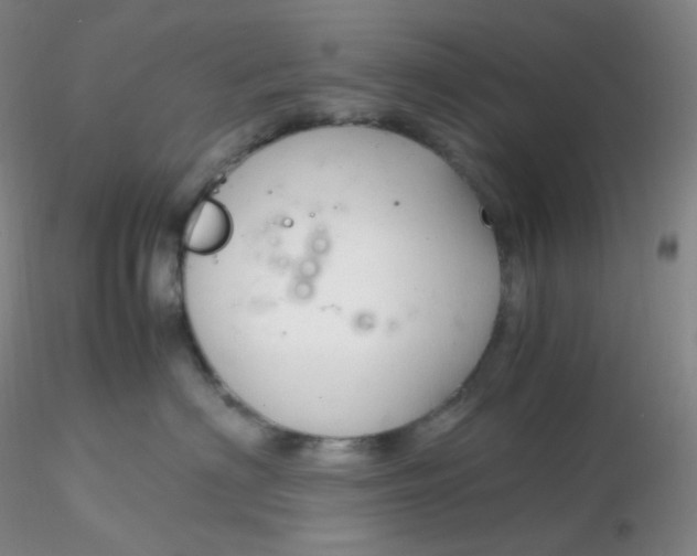 X0000116310622200912211924