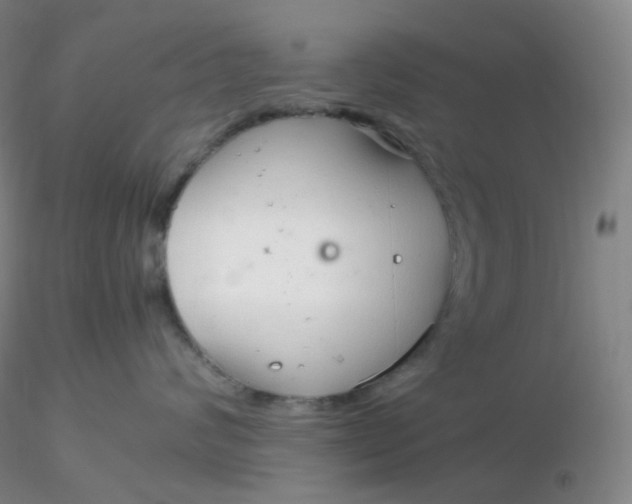 X0000116310624200912211924