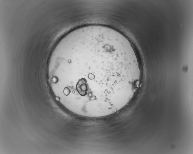 X0000116310625200912211923