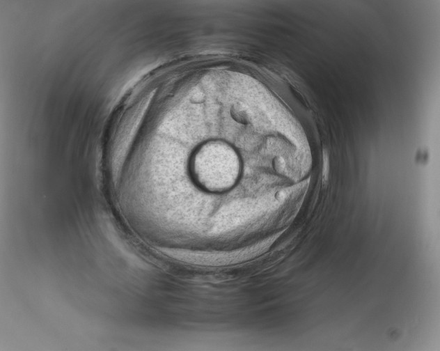 X0000116310627200912211923