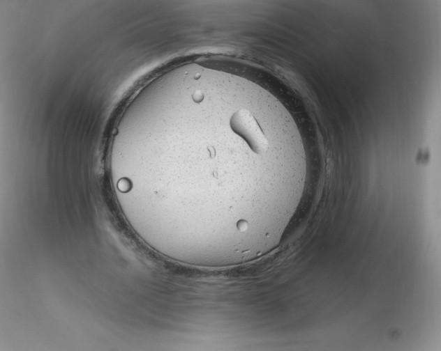 X0000116310628200912211923