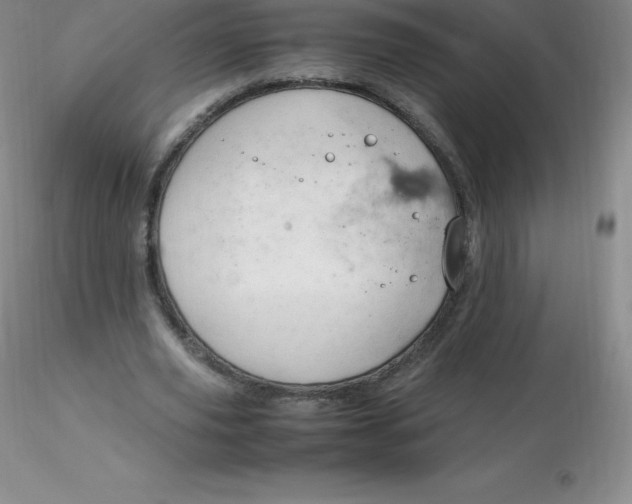 X0000116310629200912211923