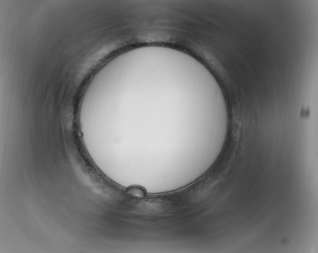 X0000116310631200912211923