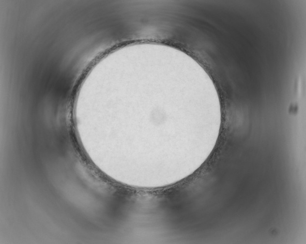 X0000116310632200912211923