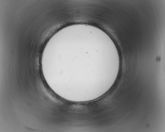 X0000116310633200912211923