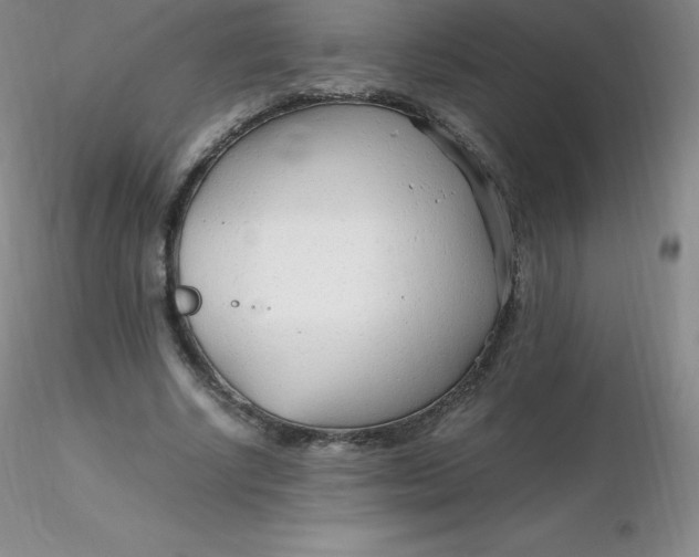 X0000116310634200912211923