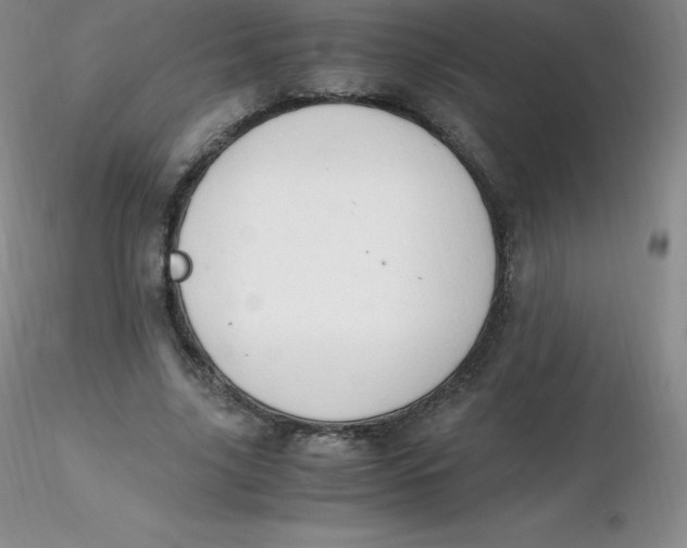 X0000116310635200912211923