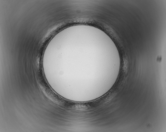 X0000116310636200912211923