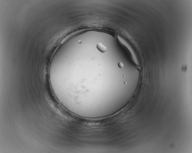 X0000116310637200912211923