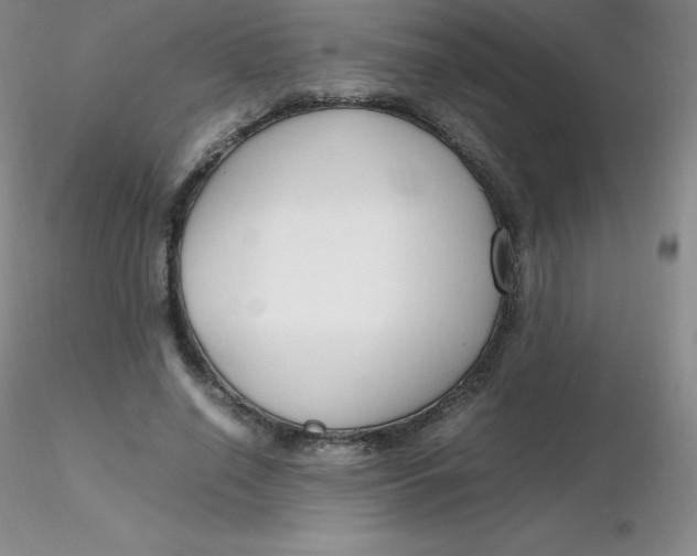 X0000116310638200912211923