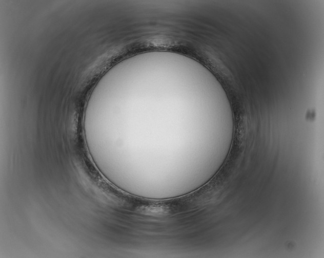 X0000116310639200912211923