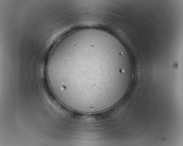 X0000116310640200912211923