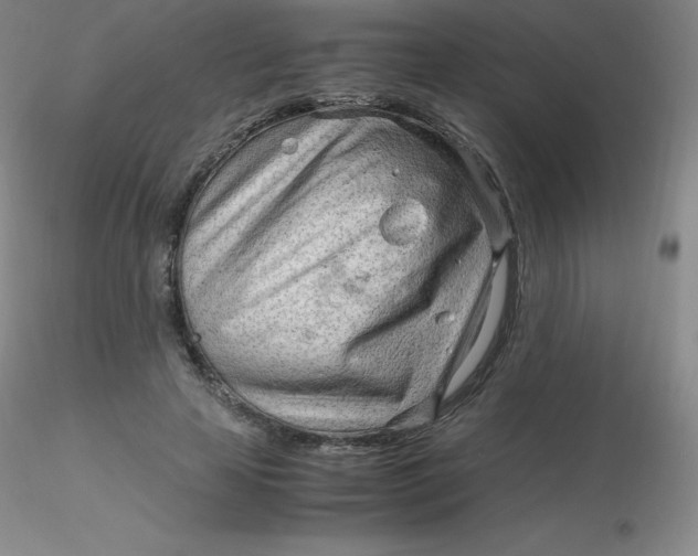 X0000116310641200912211923