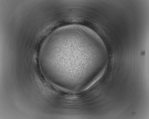 X0000116310643200912211923