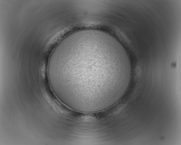 X0000116310644200912211923