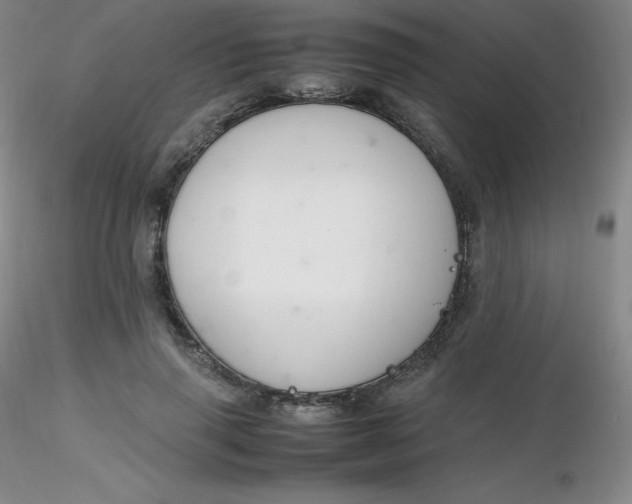 X0000116310645200912211923