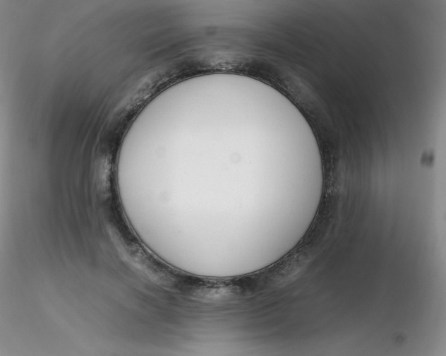 X0000116310646200912211923