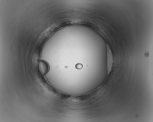 X0000116310648200912211923