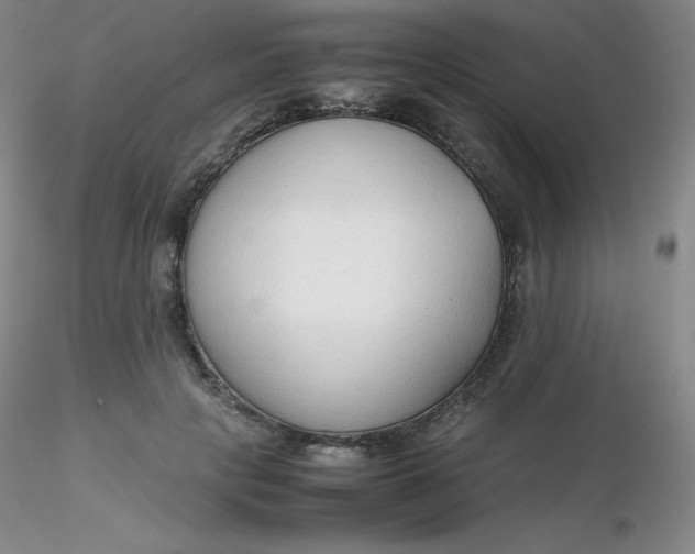 X0000116310649200912211923