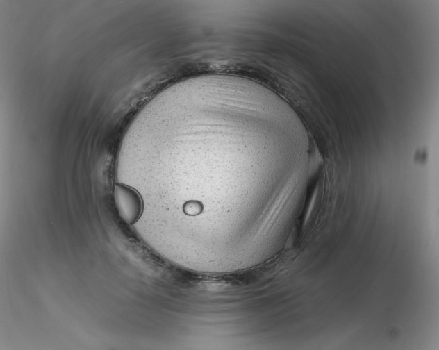 X0000116310650200912211923