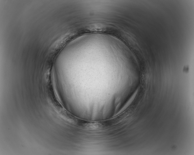 X0000116310652200912211923