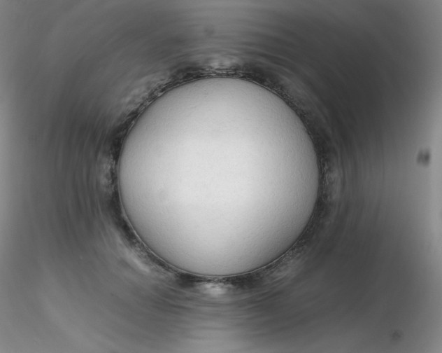 X0000116310654200912211923