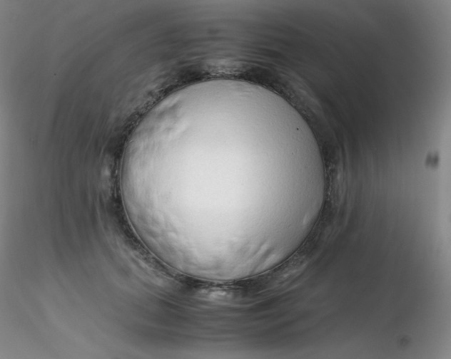 X0000116310655200912211923