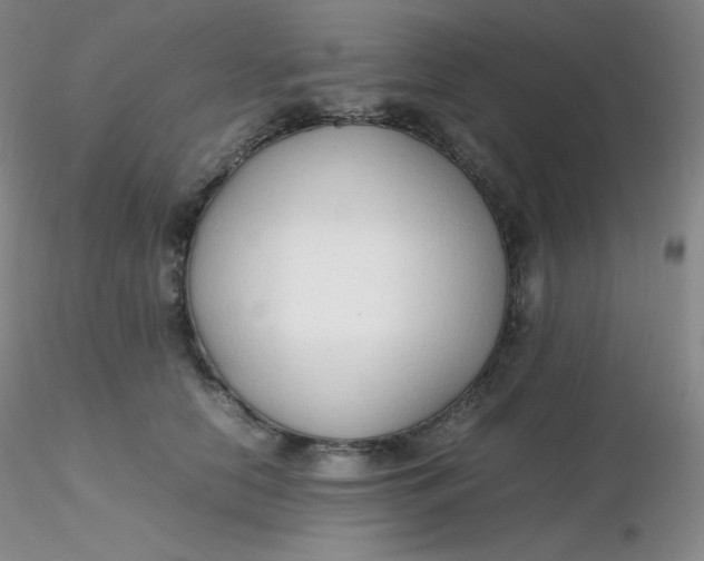 X0000116310658200912211923