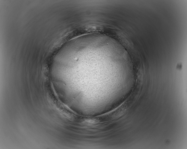 X0000116310659200912211923