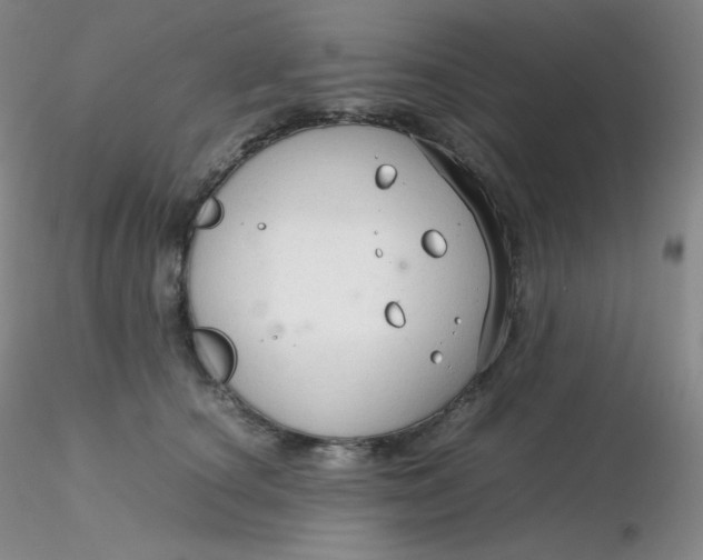 X0000116310660200912211923