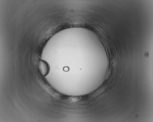 X0000116310662200912211923