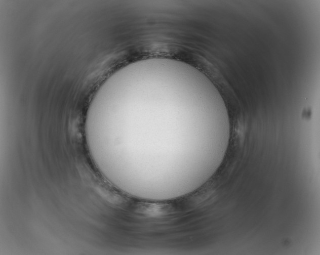 X0000116310663200912211923