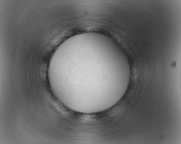 X0000116310664200912211923