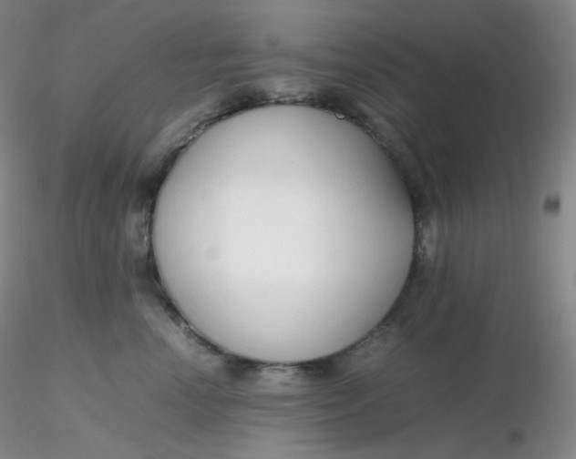 X0000116310666200912211923