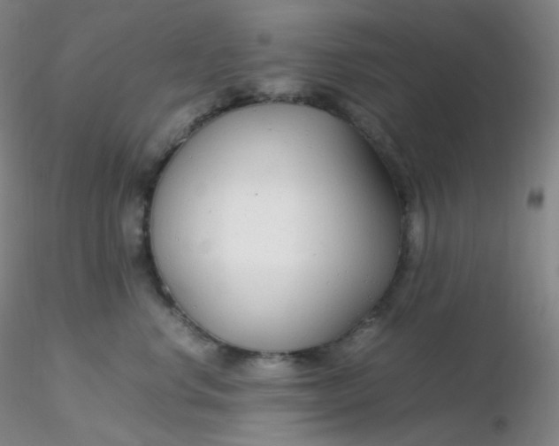 X0000116310668200912211923