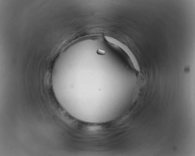 X0000116310669200912211923