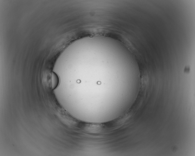 X0000116310671200912211923