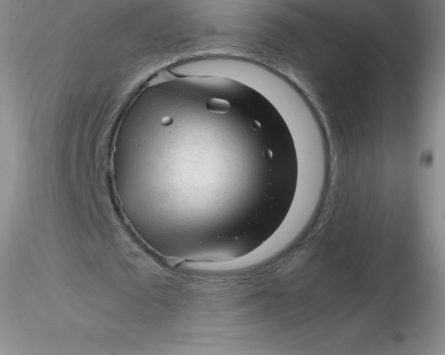 X0000116310673200912211923