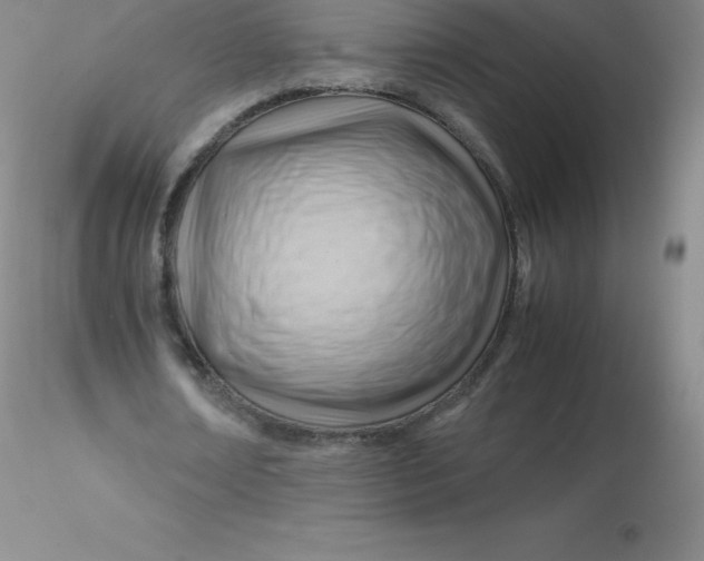 X0000116310674200912211923