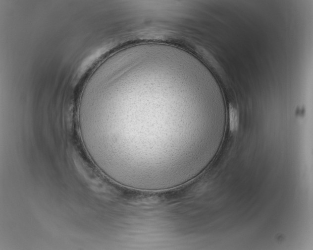 X0000116310675200912211923