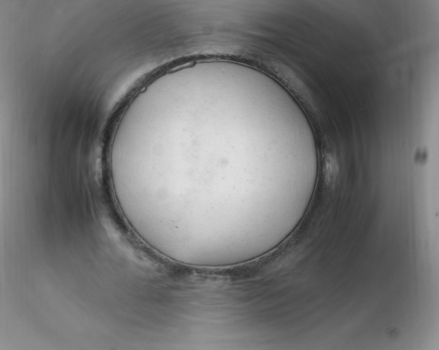 X0000116310676200912211923