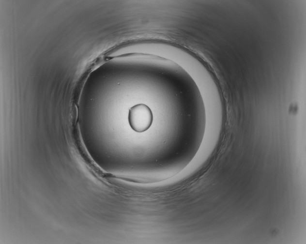 X0000116310677200912211923