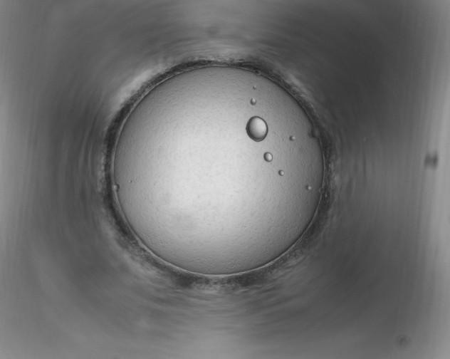 X0000116310679200912211923