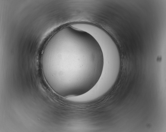 X0000116310680200912211923