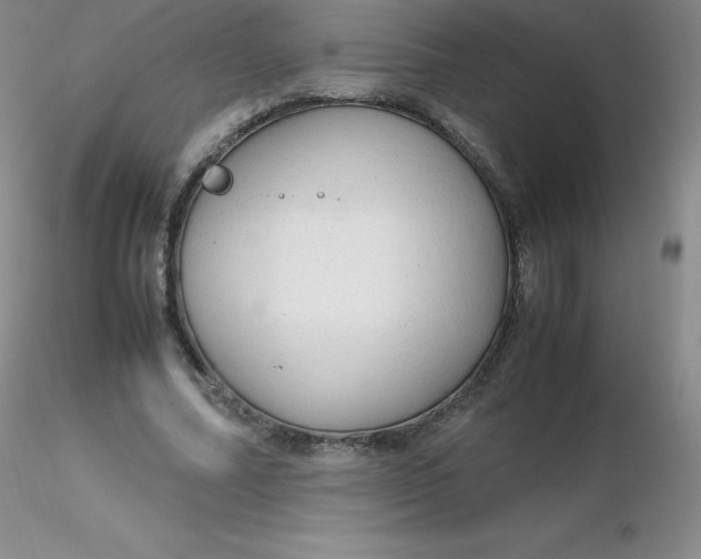 X0000116310682200912211923