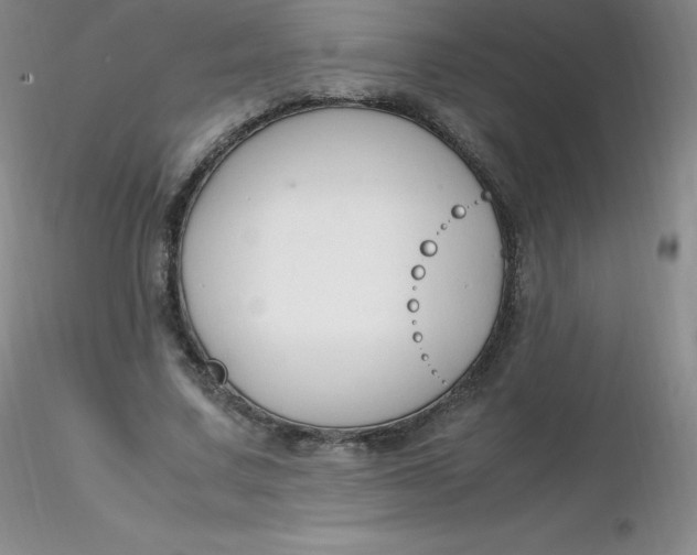 X0000116310683200912211923