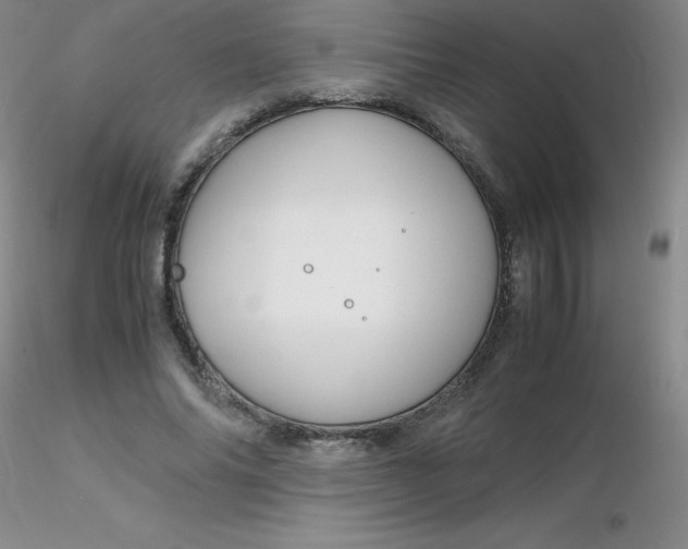 X0000116310686200912211923